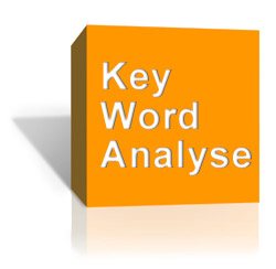Keyword Analyse