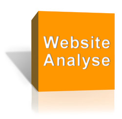 Website Analyse